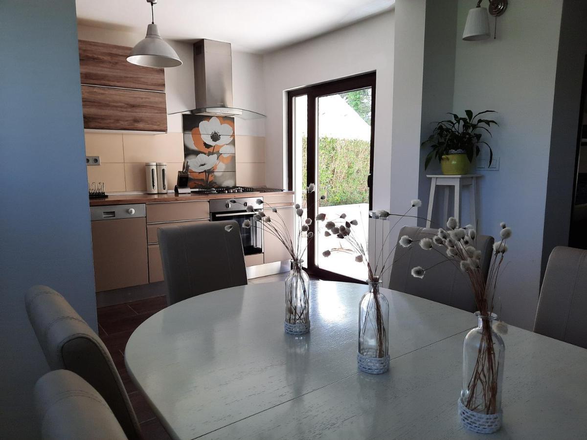 Spacious Apartment "Ana" On Lake Sabljaci 奥古林 外观 照片