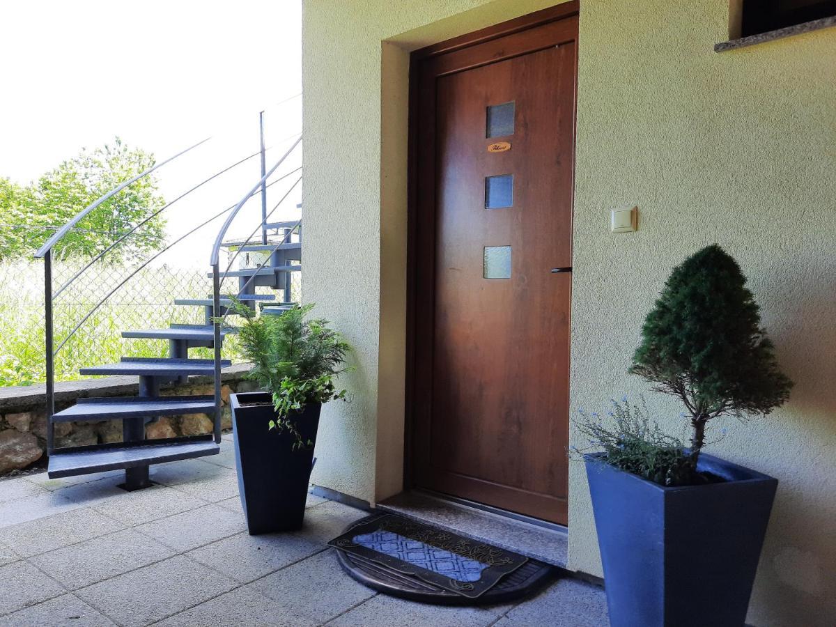 Spacious Apartment "Ana" On Lake Sabljaci 奥古林 外观 照片