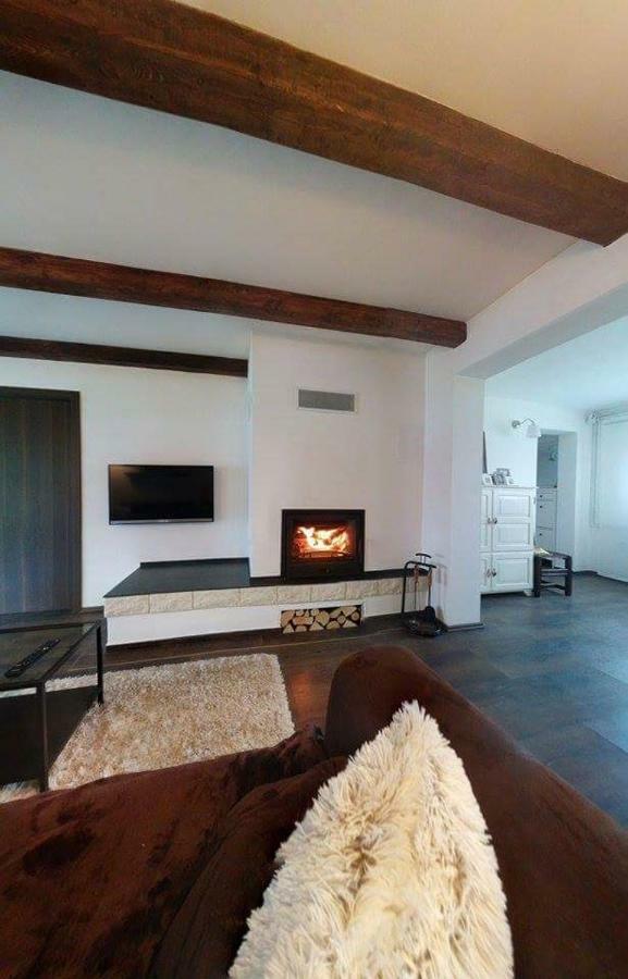 Spacious Apartment "Ana" On Lake Sabljaci 奥古林 外观 照片