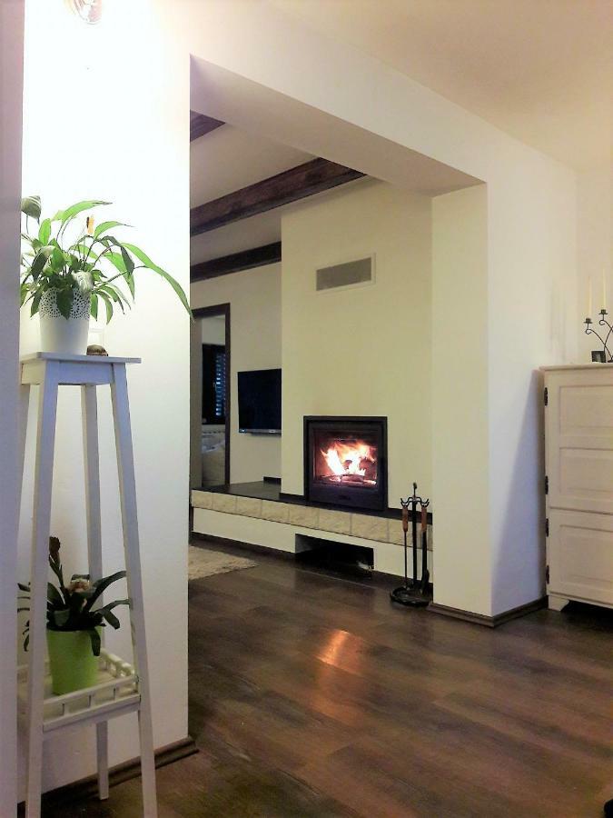Spacious Apartment "Ana" On Lake Sabljaci 奥古林 外观 照片