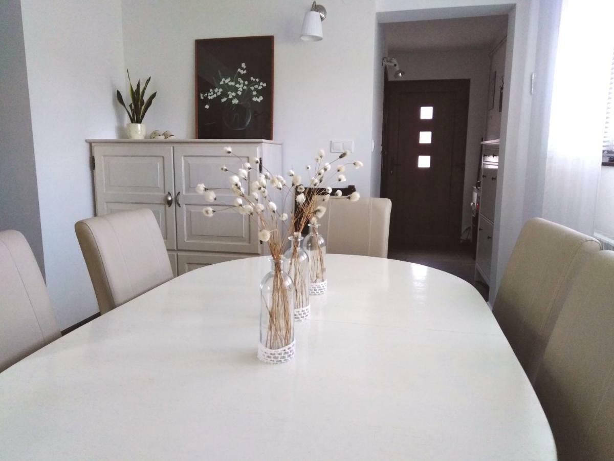 Spacious Apartment "Ana" On Lake Sabljaci 奥古林 外观 照片