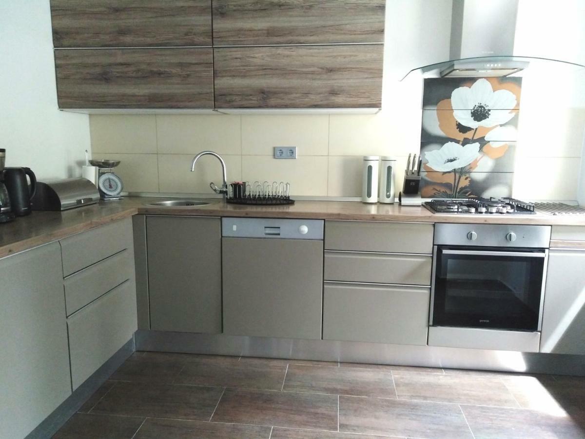 Spacious Apartment "Ana" On Lake Sabljaci 奥古林 外观 照片